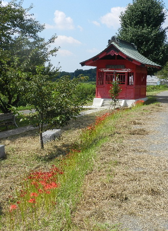 e0172950_21254935.jpg