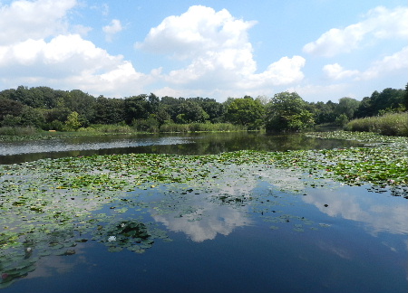 e0172950_2126174.jpg