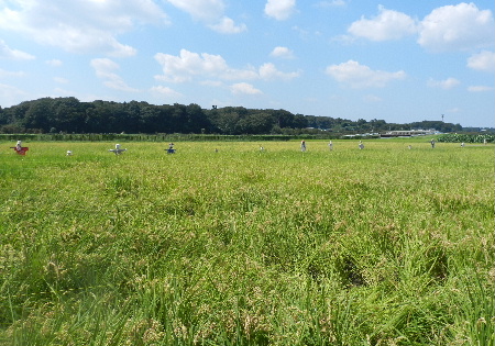 e0172950_2126280.jpg