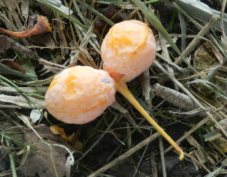 e0172950_212724100.jpg