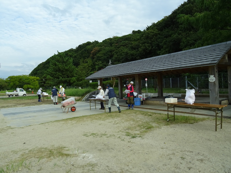 「ウミホタルウオッチング」・・・せんなん里海公園淡輪海水浴場_c0108460_01125015.jpg