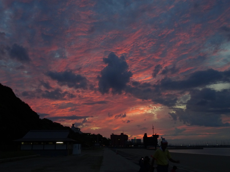 「ウミホタルウオッチング」・・・せんなん里海公園淡輪海水浴場_c0108460_01170750.jpg