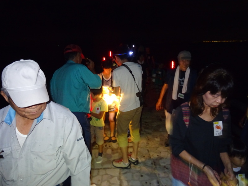 「ウミホタルウオッチング」・・・せんなん里海公園淡輪海水浴場_c0108460_01231549.jpg