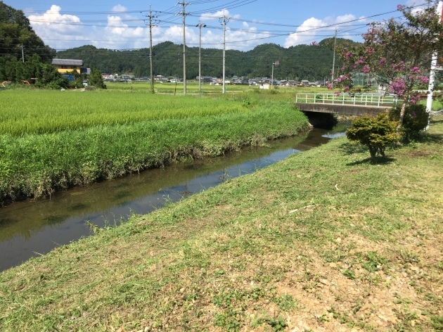 e0333569_23010905.jpg
