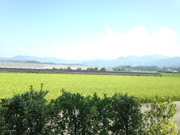 気を上げるキッチン ***_e0290872_19125299.jpg