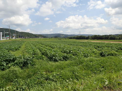 f0224772_23142152.jpg