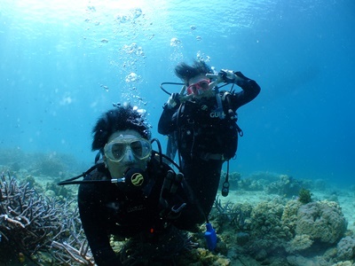 「体験ダイビング ~ 狙いすぎた2dive」_b0033573_23542695.jpg