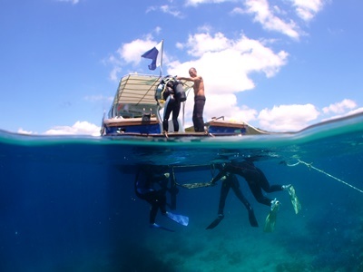 「体験ダイビング ~ 狙いすぎた2dive」_b0033573_23553171.jpg