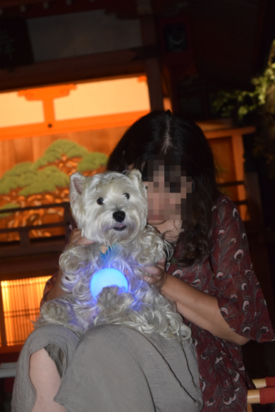 b0242873_23293807.png
