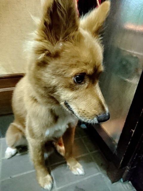 d0183577_09521330.jpg