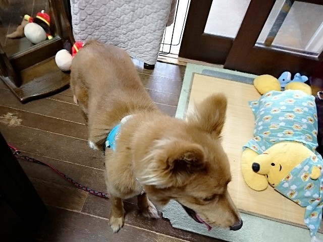 d0183577_10025640.jpg