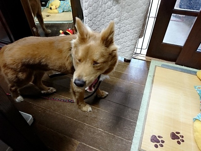 d0183577_10040600.jpg