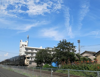 e0130185_18263540.jpg