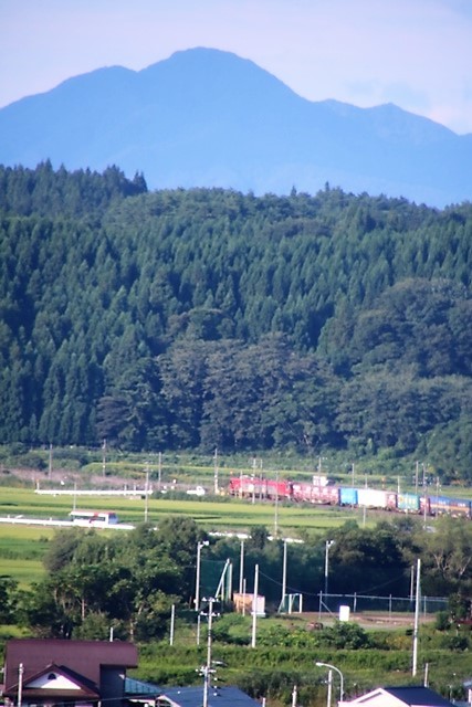 d0181492_07574738.jpg