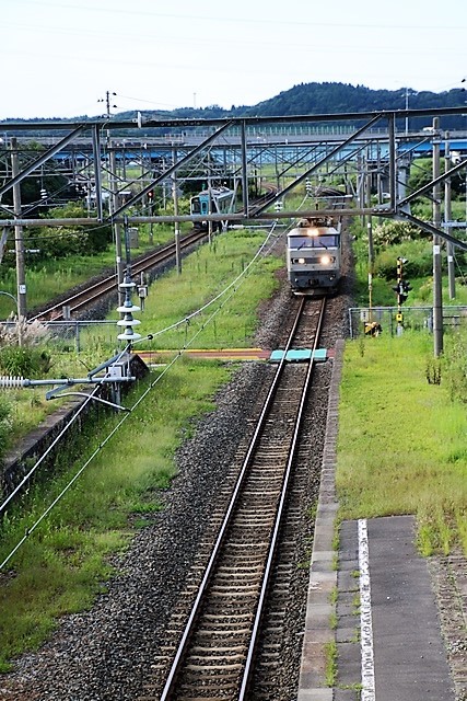 藤田八束の鉄道写真@北朝鮮がまたもやミサイル発射、平和への祈り、陸奥市川駅八戸駅の貨物列車_d0181492_08123973.jpg