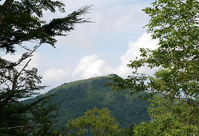 a0339396_00411133.jpg