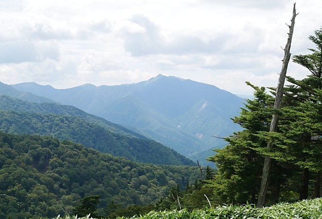 a0339396_00412361.jpg