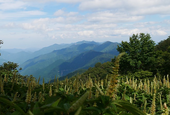 a0339396_00421326.jpg