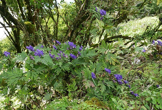 a0339396_00423969.jpg