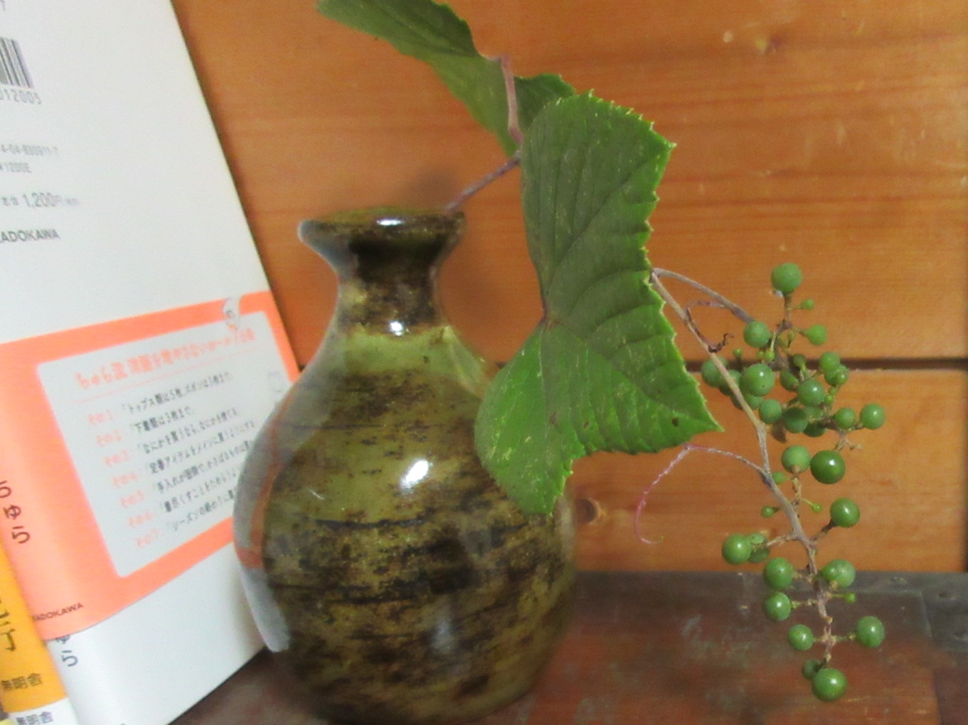 a0203003_21511230.jpg