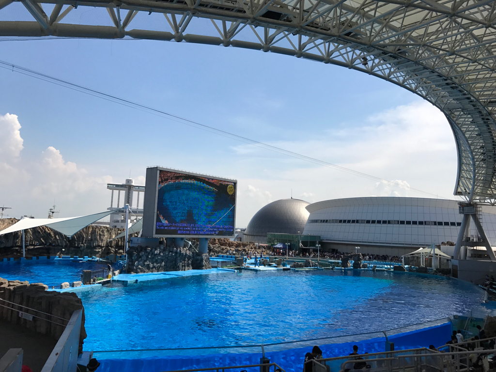 水族館 4_e0366207_11244027.jpg