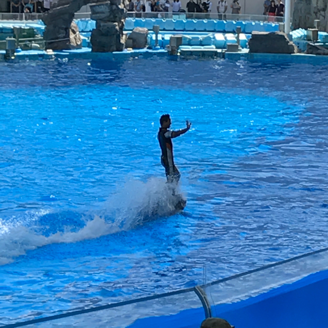e0366207_17251907.jpg