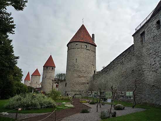 c0009413_16133019.jpg