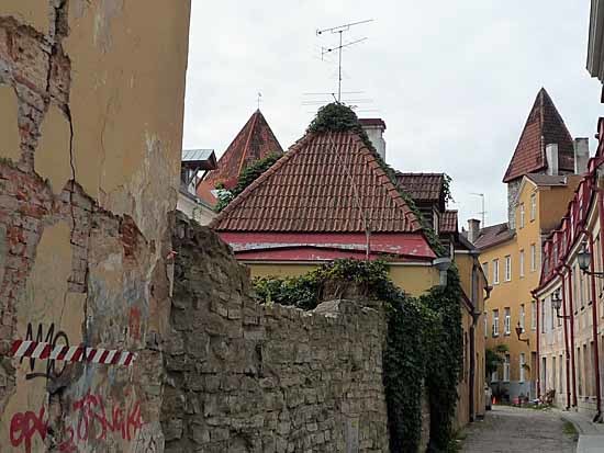c0009413_16142570.jpg