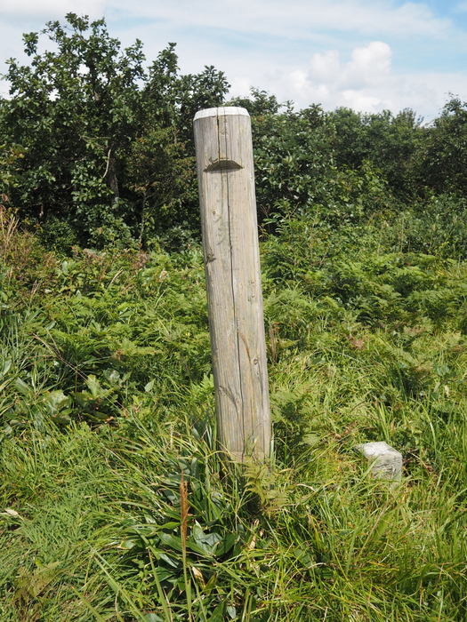 c0116915_01032743.jpg