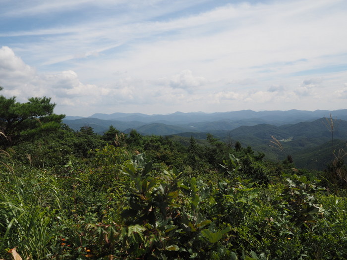 大潰山(おおづえやま)登山_c0116915_01045843.jpg