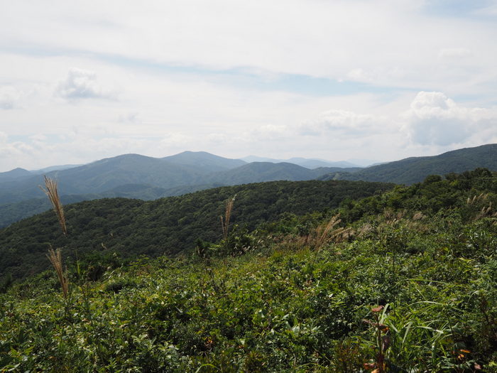 大潰山(おおづえやま)登山_c0116915_01051748.jpg