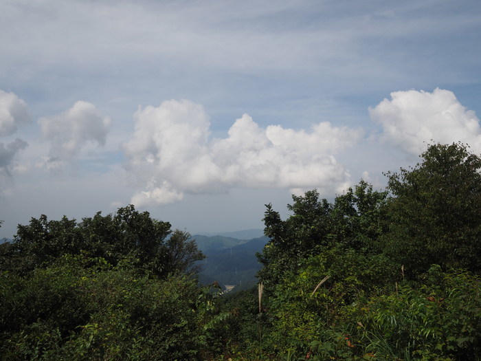 大潰山(おおづえやま)登山_c0116915_01060360.jpg