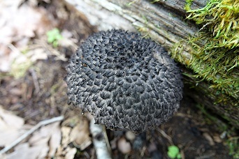 f0360815_17184925.jpg