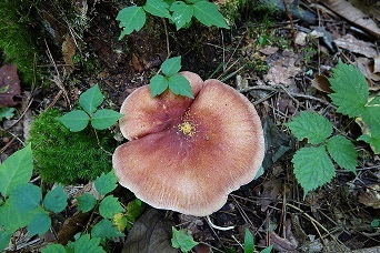 f0360815_17184981.jpg