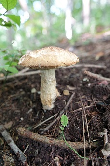 f0360815_17185007.jpg