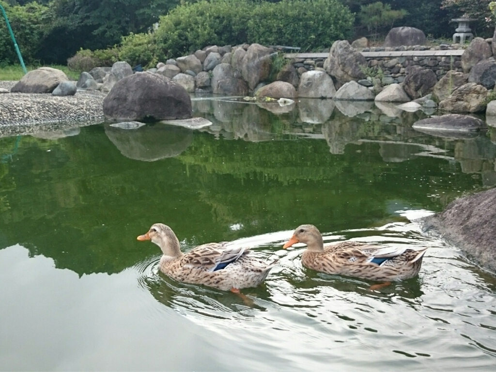 c0213817_00082172.jpg
