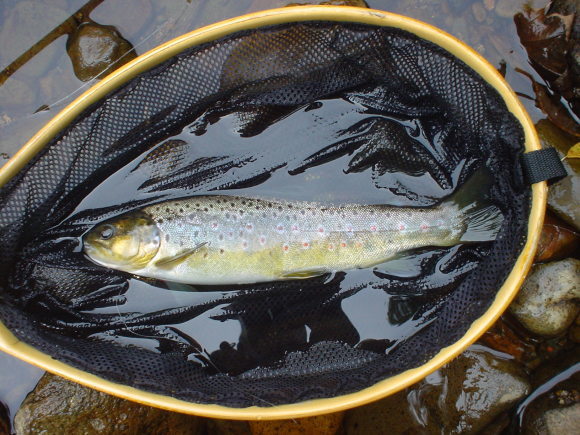f0280717_15363096.jpg