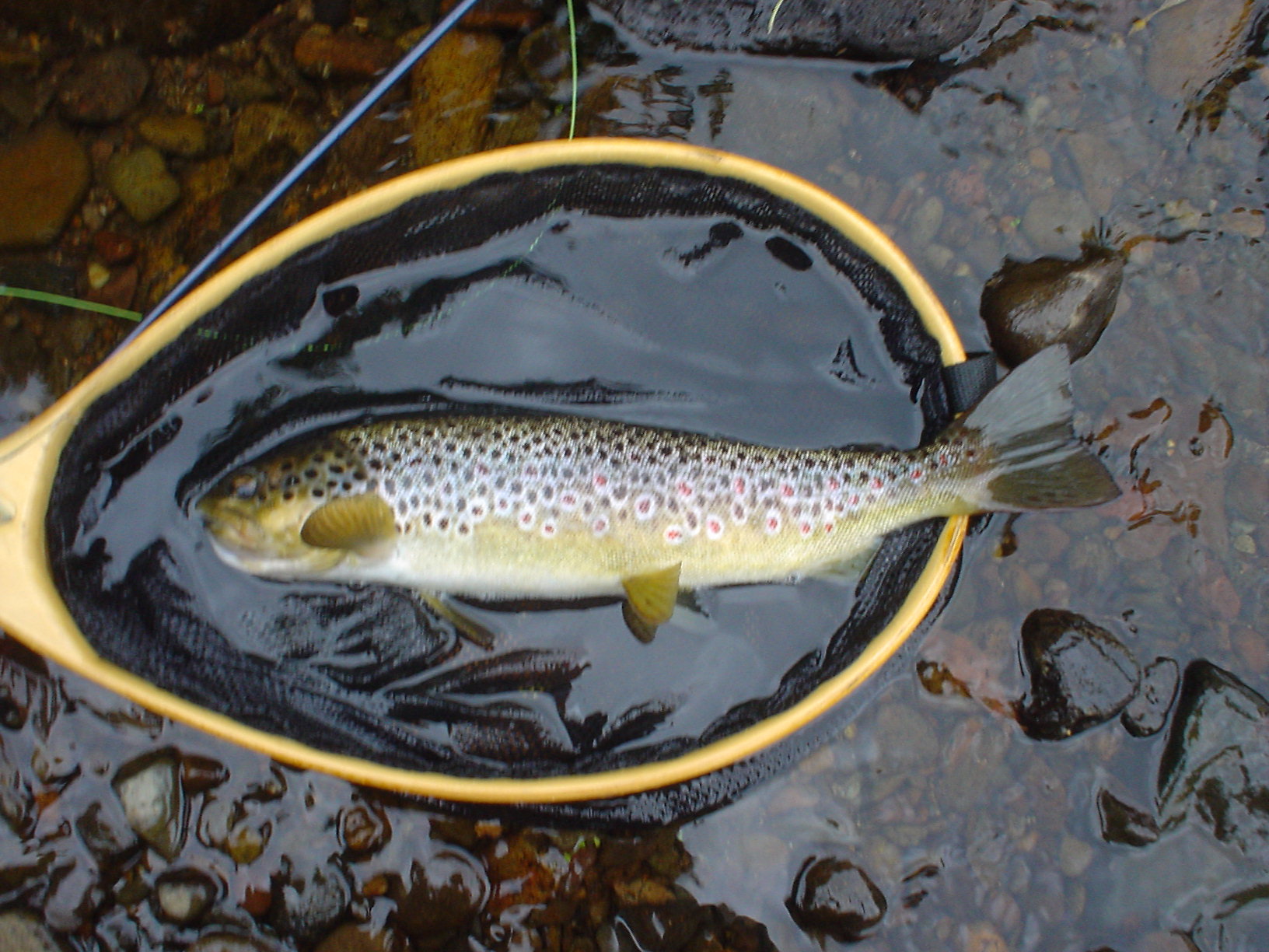 f0280717_15401590.jpg