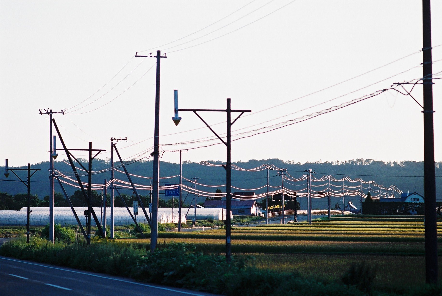 f0362725_14521841.jpg