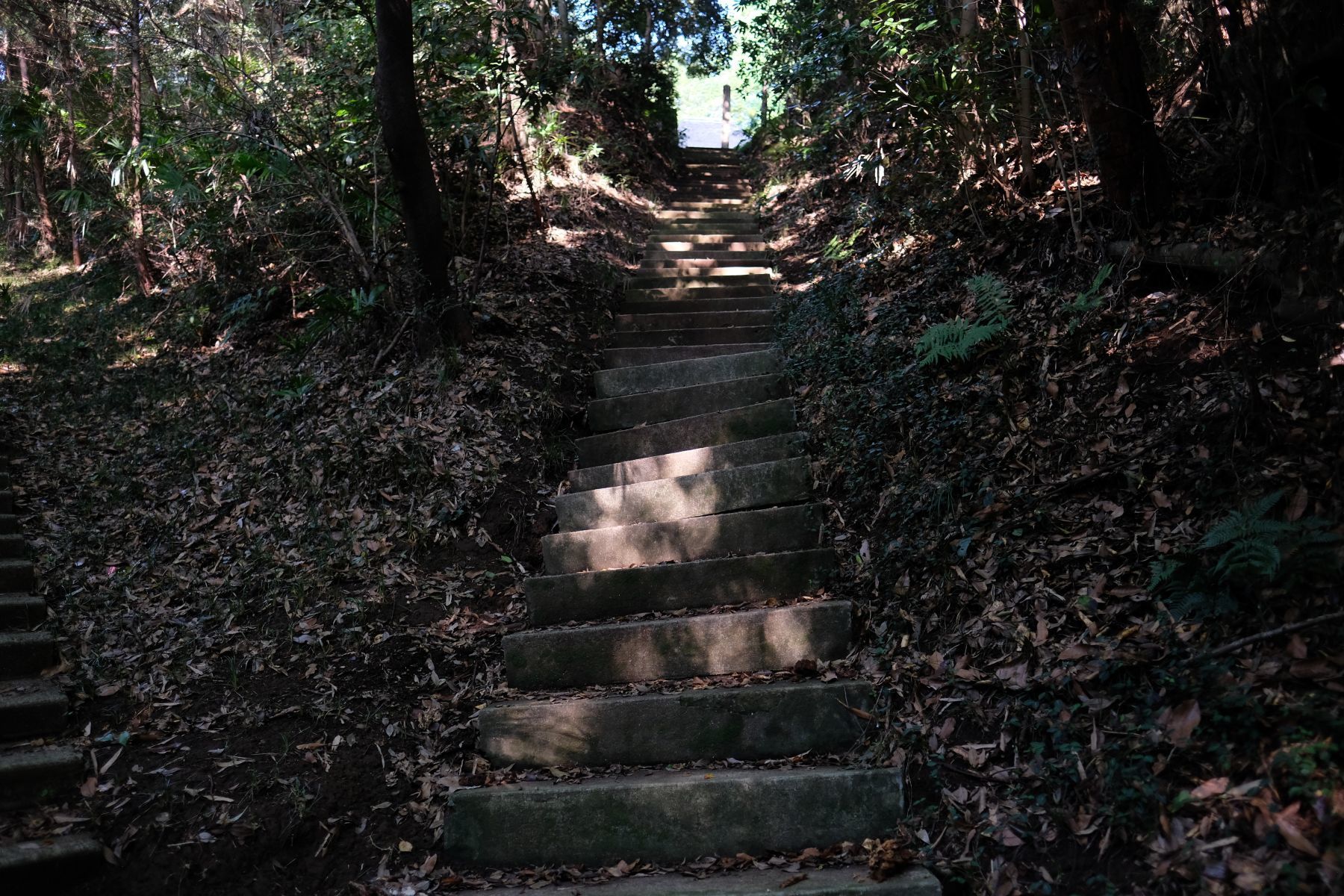 b0212342_11482289.jpg