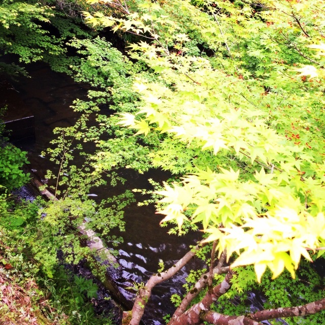 b0125443_10402095.jpg