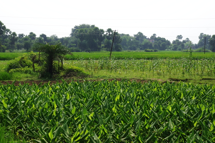 d0185744_16381662.jpg
