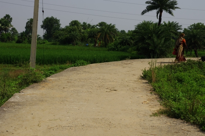 d0185744_16391325.jpg