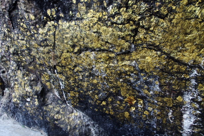 d0185744_17021089.jpg