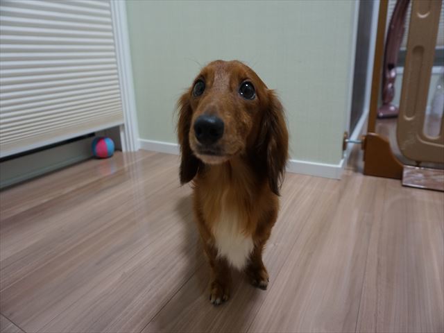 d0336846_22160916.jpg