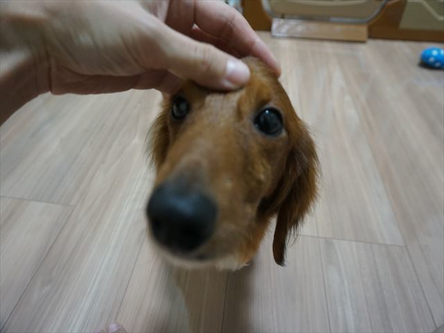 d0336846_22162172.jpg