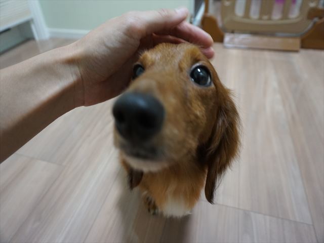 d0336846_22163397.jpg