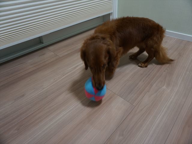 d0336846_22172677.jpg