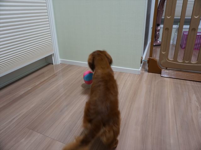 d0336846_22173548.jpg