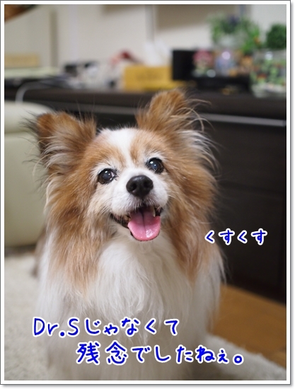 d0013149_00000461.jpg